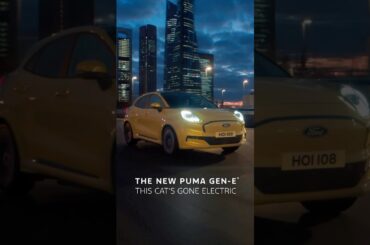 This cat's gone electric #Shorts