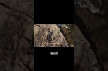 Bellatrix Nomad 2X: First Ride Review - Is it Worth the Hype? #ebike