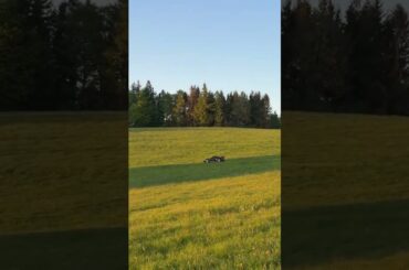 Spring day itinerary #shorts