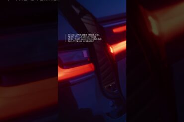 Lexus | Genuine Illumination Accessories