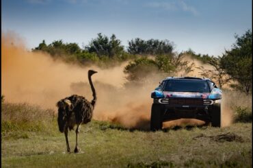 Carlos Sainz Sr and Nani Roma Take On South African Safari Rally | Ford Performance