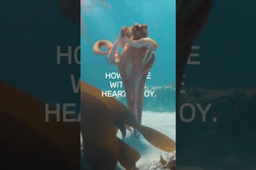 The Heart of Joy — Unifying every element of your BMW in one innovative control unit.