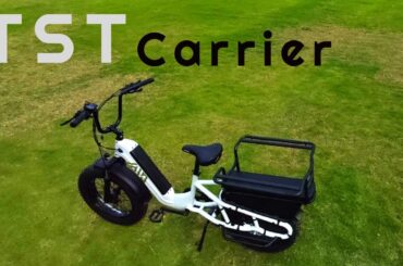 Review |   TST Carrier 20 Electric Bike