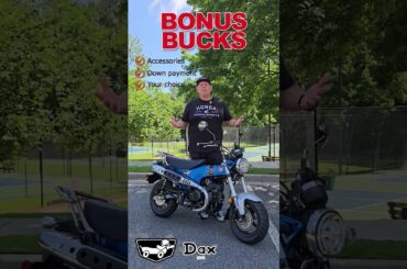 Time for some off-the-leash fun with the Honda Dax 125 🐾