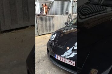 Going back to our roots #shorts