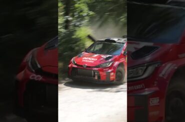 Toyota GAZOO Racing providing thrills on Goodwood's forest rally stage... #fos #ToyotaGAZOORacing