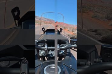 It's National Motorcycle Day! How are you celebrating? 🗓️