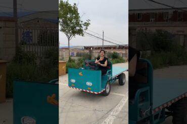 Save time, effort and manpower #Electric transport vehicle #Electric four-wheel