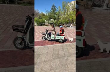 Three-wheeled electric vehicle for elderly leisure three-wheeled small bucket, rear seat #scooter