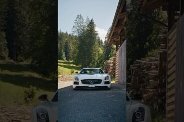 Gullwings Up, Game Over 🪽