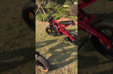 These E-Bikes Are Sick! Hidoes B6 & B10 #ebike #hidoesb6 #hidoesb10 #electricbike #cycling