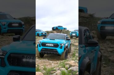 Catch the thrill, ride the wave.  🌊