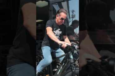 Buried Mustangs and Lectric E-Bikes!