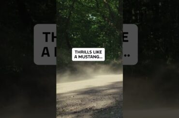 The Mustang Mach-E®: All-Electric Thrill