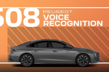 Peugeot 508 Tutorial | Voice Recognition