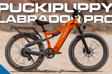 This Budget Fat Tire e-Bike Surprised Us! (Puckipuppy Labrador Pro Review)