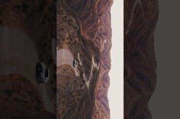 Did you tilt your head first, or your phone? 🫠