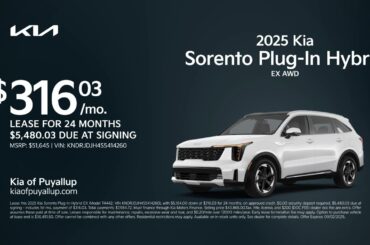 Kia Sorento Plug-In Hybrid 08/13/2025 5963630