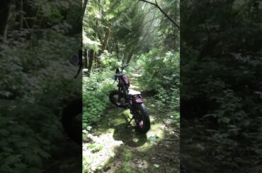 BIGNIU | BGX Ebike - Riding for All Seasons