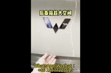 Wuling Bingo new energy vehicles: The Perfect City Car? (Real-World Test)#electric car#citycardriver