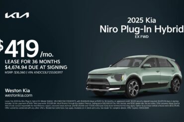 Kia Niro Plug-In Hybrid 08/13/2025 5963782