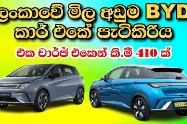 BYD Dolphin Full Review Sinhala | Brandnew unregistered Electric Cars Srilanka | Vehicle import 2025