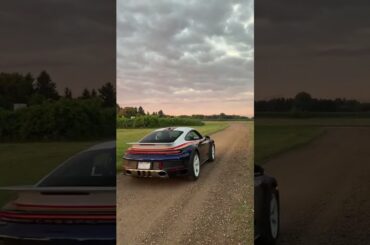 The world is our playground #shorts