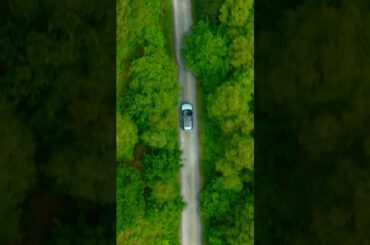 Wild Roads: Clean Air #Shorts