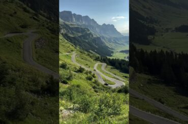 The hills are alive! #shorts