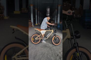 Dual Batteries powerful e-bike #bike #jansnox70