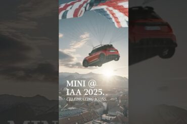 Is it a bird? A plane? 🪂 #mini #youtubeshorts #pov