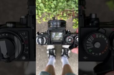 One 45-year-old camera, an MkI and MkII classics. Timeless combo. 📸 IG/ thevisuallife_ #Volkswagen