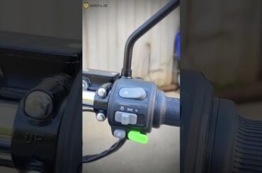 BENLG 4000W Brushless Motor Electric Motorcycle with Swappable Batteries