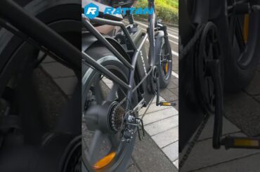 Rattan LF/LM Ultra Electric Bike--- FOLDABLE & PORTABLE DESIGN