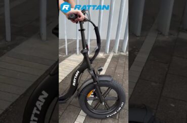 Rattan LM/LF Ultra Long Range Electric Bike