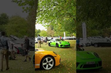 A ray of sunshine #shorts