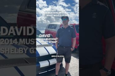 One word to describe the Mustang®