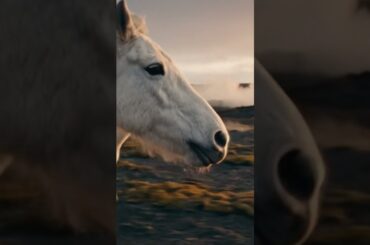 Land Cruiser 300 | Journey on a whole different scale. | Toyota