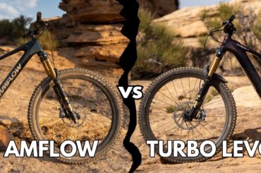 Best 2025 eMTB Showdown? Amflow PL Carbon Pro vs Specialized S-Works Turbo Levo 4