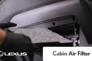 Lexus Service - Cabin Air Filter | Lexus