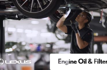 Lexus Service - Engine Oil & Filter | Lexus