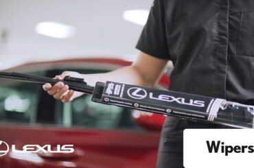 Lexus Service - Wipers | Lexus