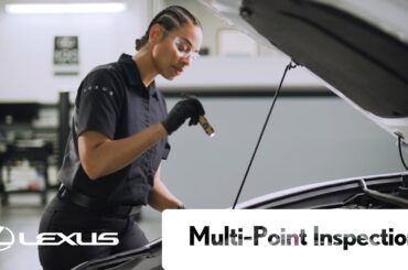 Lexus Service - MultiPoint Inspection | Lexus