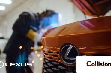 Lexus Service - Collision | Lexus