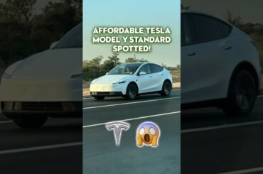 Affordable Tesla Model Y Standard Spotted!