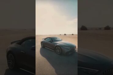 The star of any scene 🎬