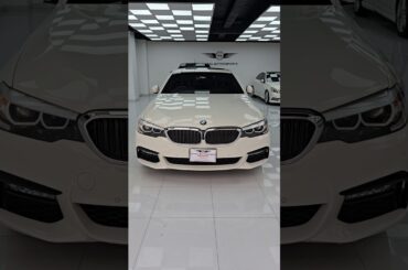 Plug-in Hybrids are the best. BMW 530E 2018 ASMR.