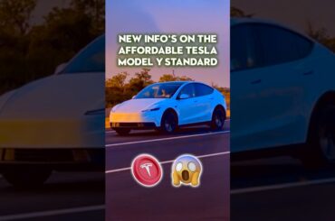New info's on the affordable Tesla Model Y Standard