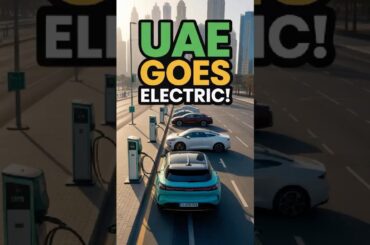 Half of UAE Residents Now Own EVs!