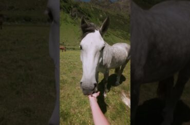 Two forces. One feeling.​ The Audi RS e-tron GT in St. Anton.​